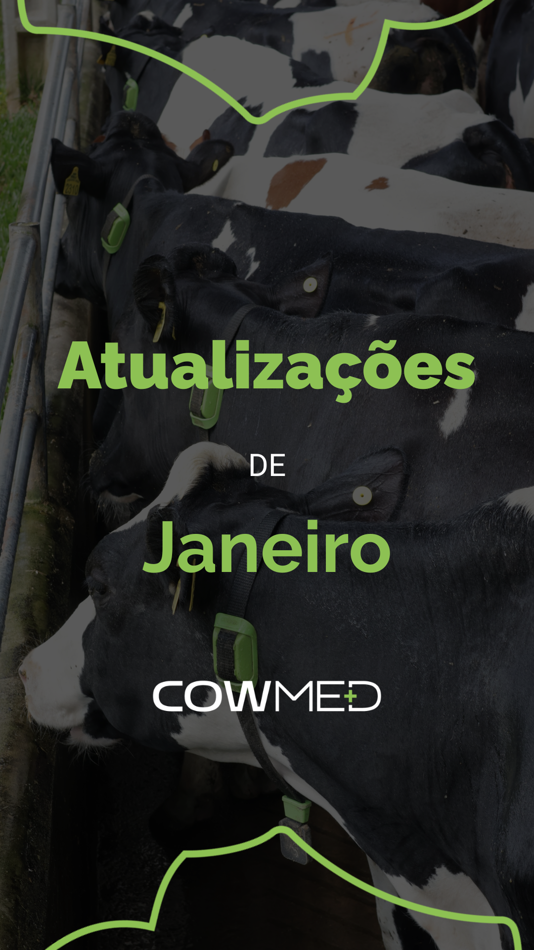 Atualização da plataforma: mais precisão e integração 