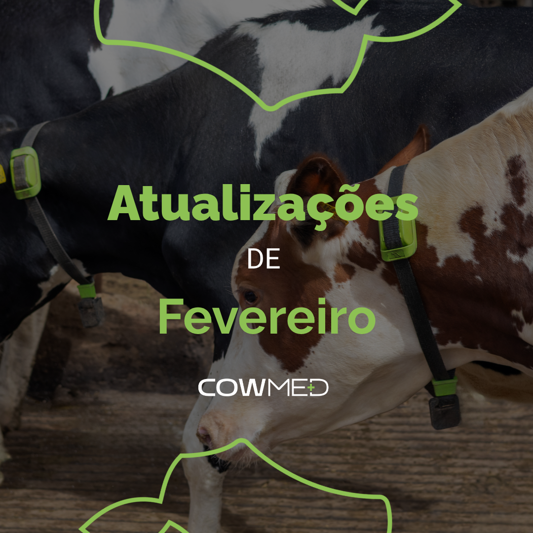 Novas atualizações de fevereiro de 2026, já disponíveis na plataforma