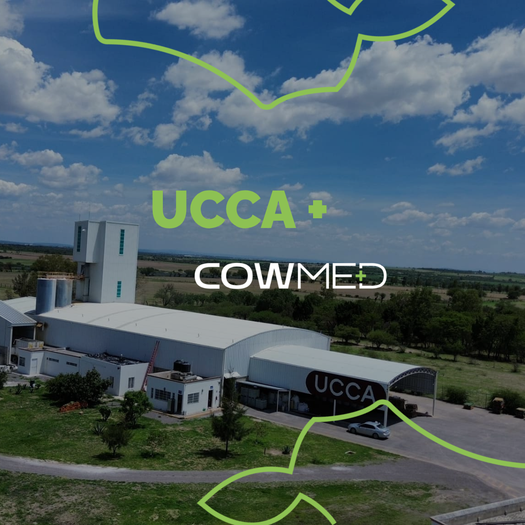 Parceria Cowmed e UCCA: tecnologia e cooperativismo conectando Brasil e México
