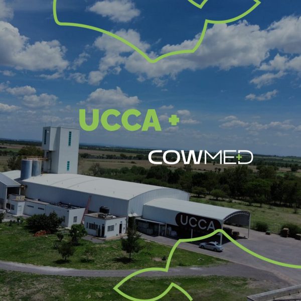 Capa reels (Post para Instagram) (2)