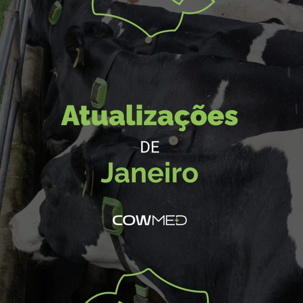 Capa reels (Post para Instagram)